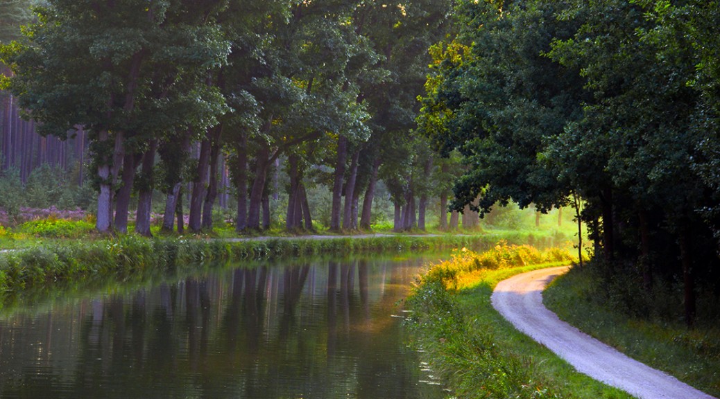 Kräuterspaziergänge am alten Kanal